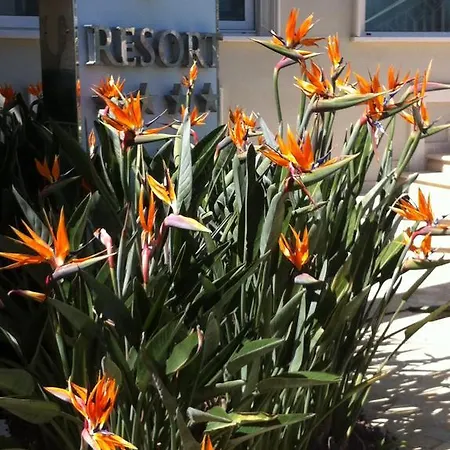 Olympus Lägenhetshotell Alba Adriatica