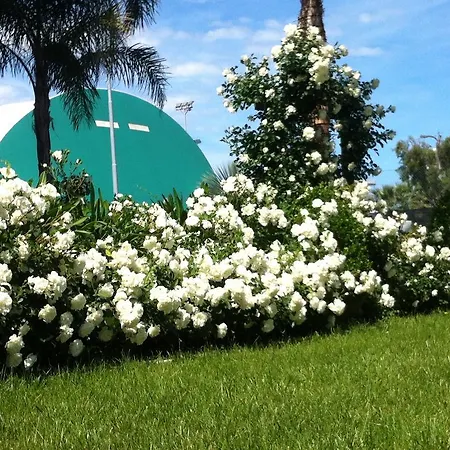 Olympus Aparthotel 4*