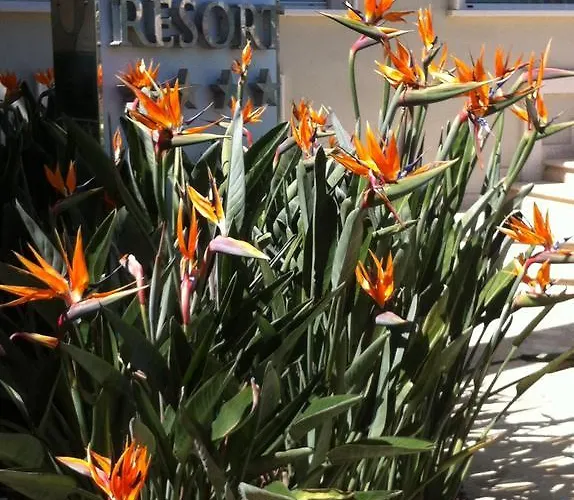 Olympus شقة فندقية ألبا أدرياتيكا